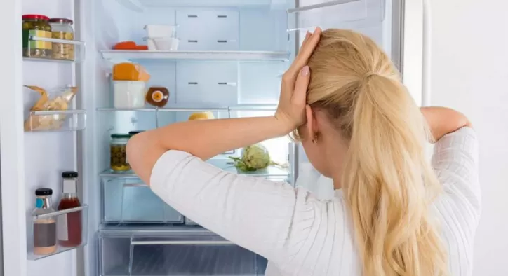 buzdolabi-servisi-cagirmadan-once-724x394